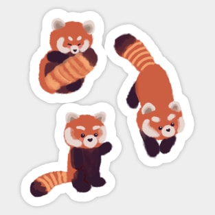 Three cute red pandas Sticker